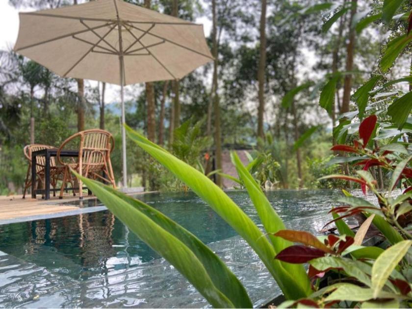 Biệt Thự 1 Phòng Ngủ