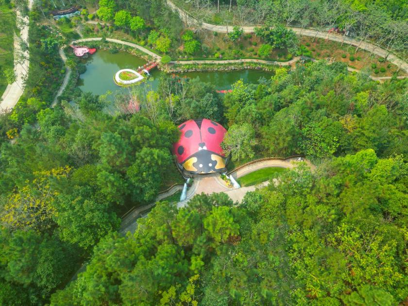 Phòng Deluxe Gia đình