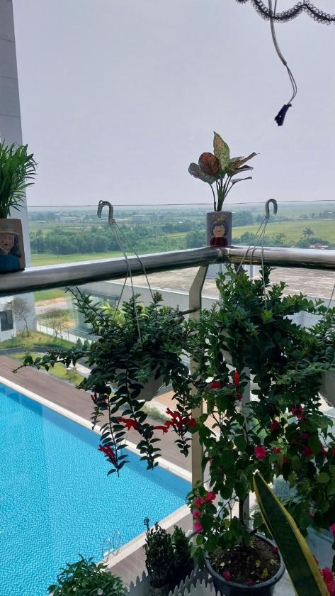 Căn Hộ 2 Phòng Ngủ