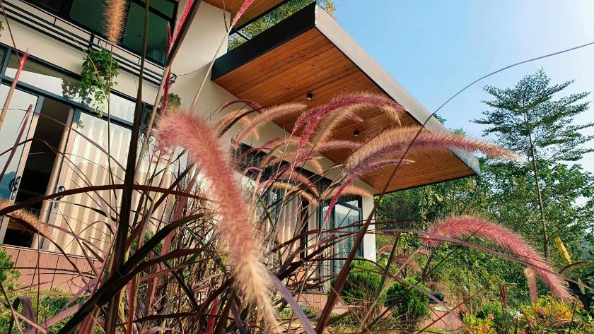 Biệt Thự Nhìn Ra Vườn