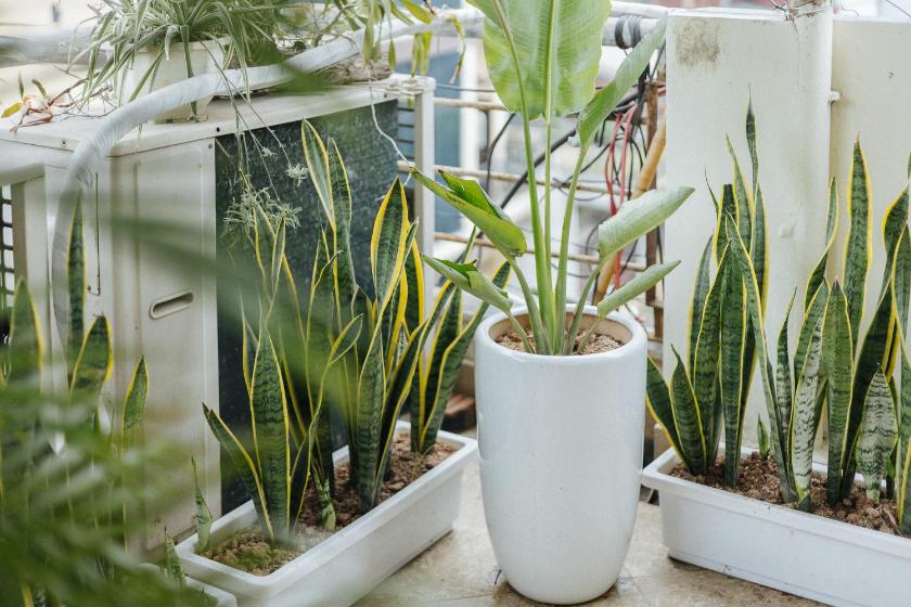 Căn Hộ Có Ban Công