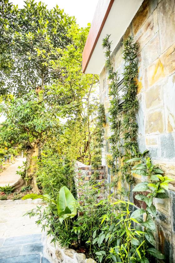 Biệt Thự 3 Phòng Ngủ