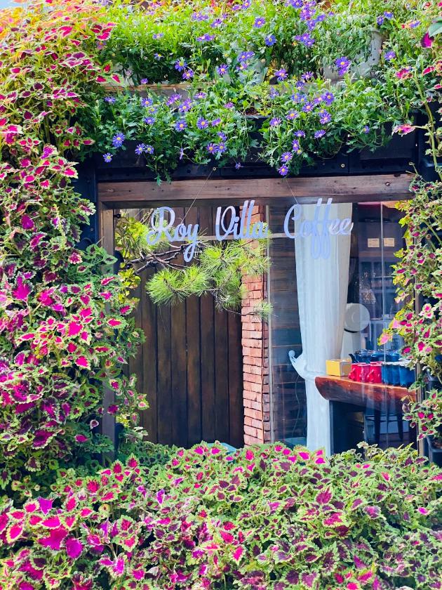 Căn Hộ Nhìn Ra Vườn