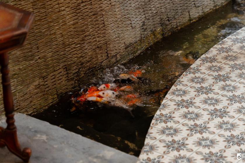 Phòng Giường Đôi/2 Giường Đơn Có Tầm Nhìn Phòng Giường Đôi/2 Giường Đơn Có Tầm Nhìn