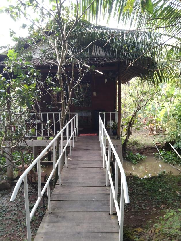 Bungalow Nhìn ra vườn