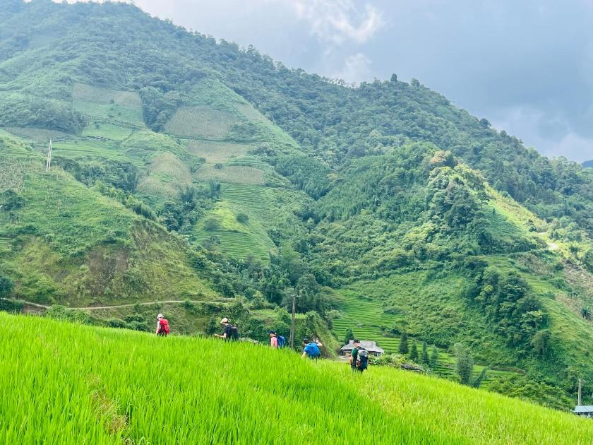 Phòng Superior 2 Giường Đơn