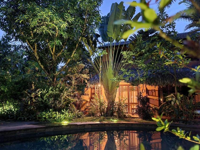 Suite Nhìn ra Hồ bơi