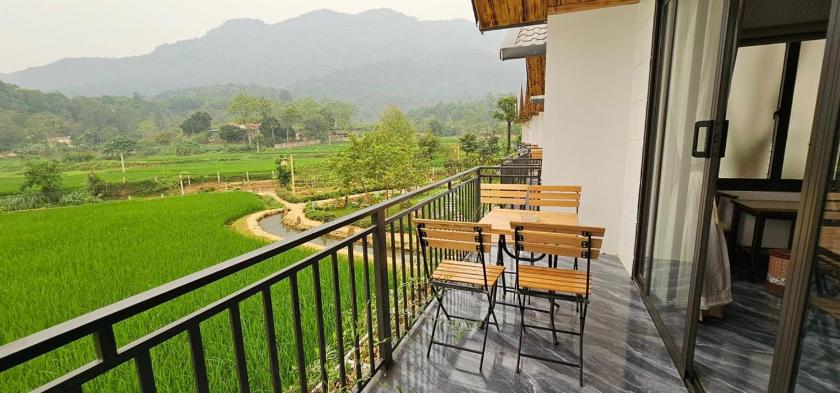 Bungalow Tiêu Chuẩn 