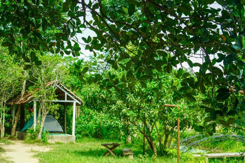 Phòng 3 Người Nhìn Ra Vườn