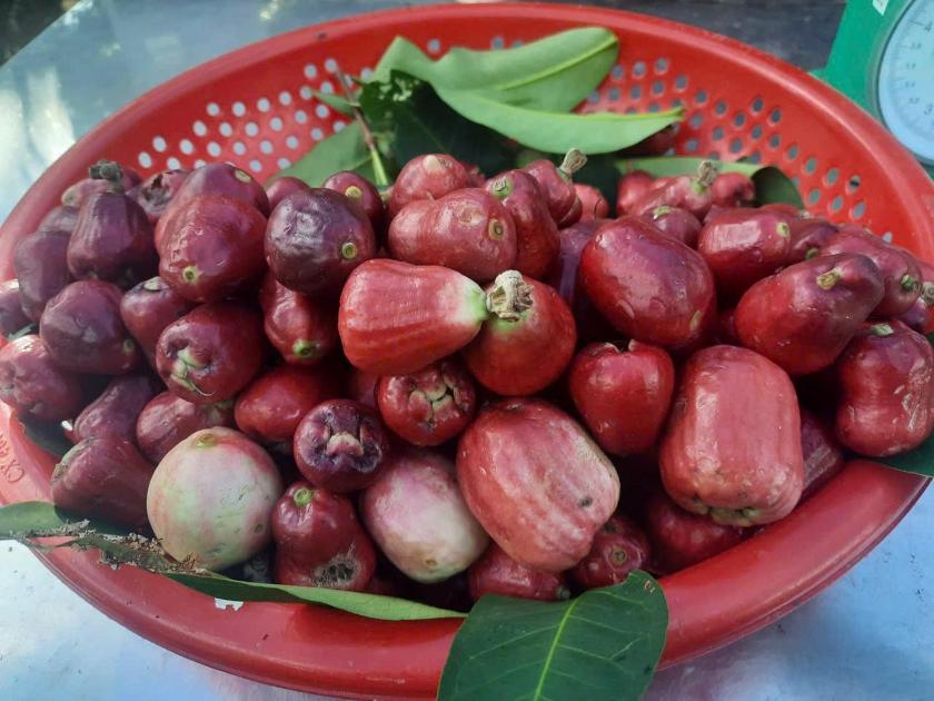 Phòng Ngủ Tập Thể Cho Cả Nam Và Nữ Phòng Ngủ Tập Thể Cho Cả Nam Và Nữ