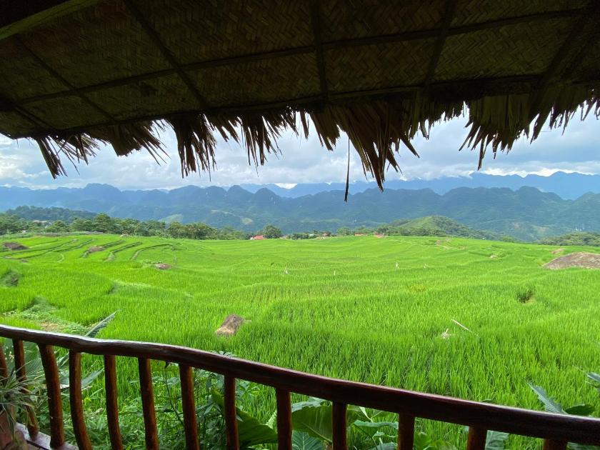 Bungalow Nhìn ra vườn