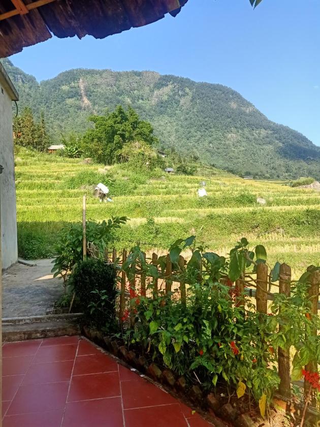 Phòng Giường Đôi