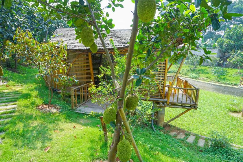 Bungalow - Nhìn Ra Mặt Nước 