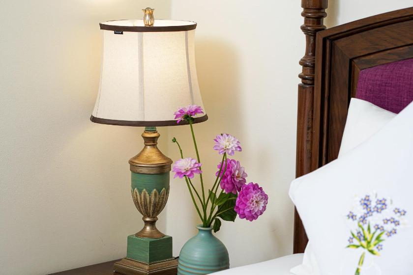 Phòng Superior 2 Giường đơn Không có Cửa sổ