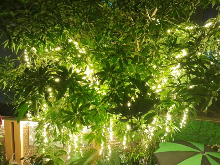 Phòng Deluxe Gia đình