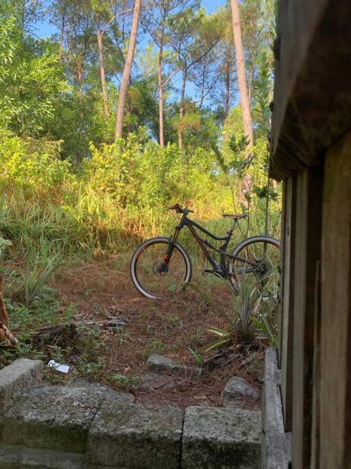 Ngôi Nhà 2 Phòng Ngủ