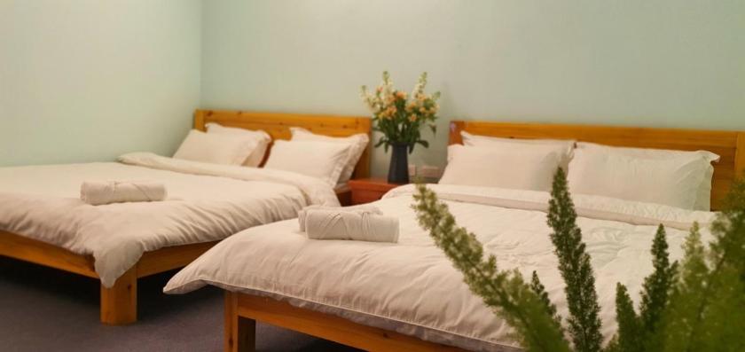 Phòng 4 người Nhìn ra cảnh Núi non Phòng 4 người Nhìn ra cảnh Núi non