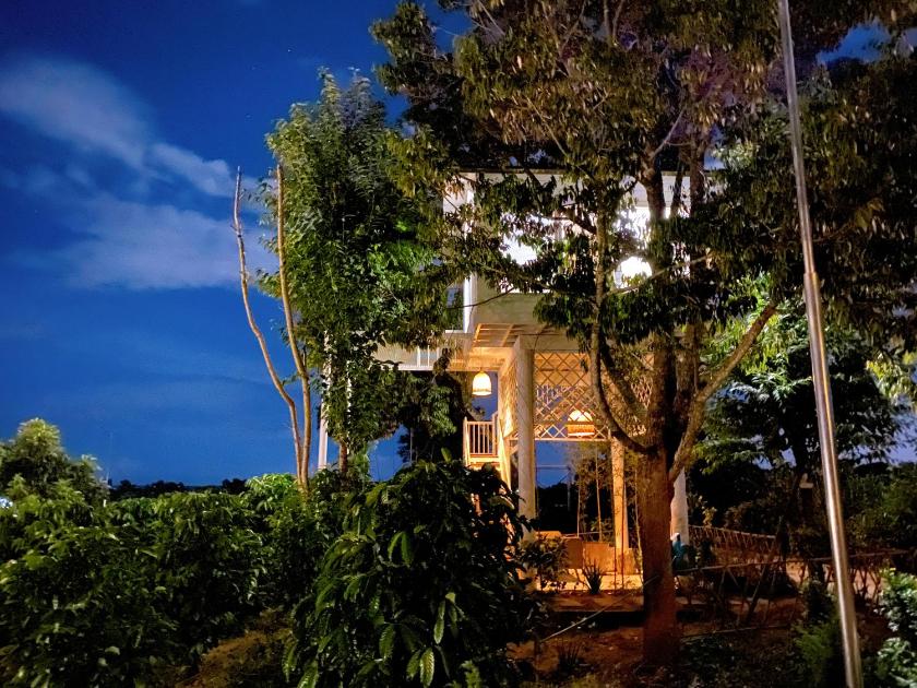 Bungalow Deluxe Nhìn Ra Khu Vườn