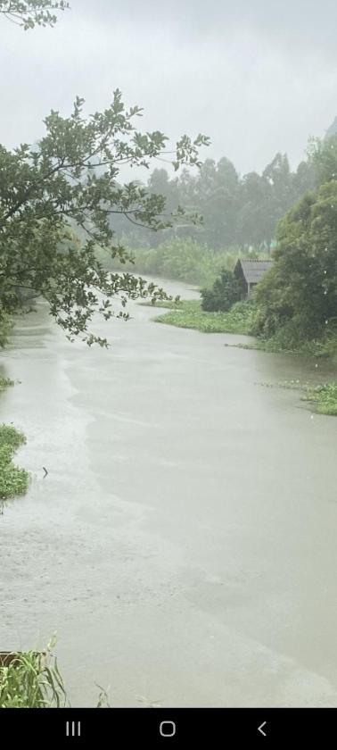 Phòng 2 Giường Đơn Nhìn Ra Khu Vườn