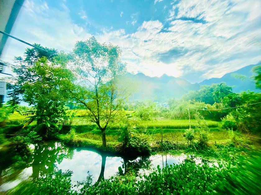 Phòng Giường đôi Deluxe (2 Người lớn + 1 Trẻ em)