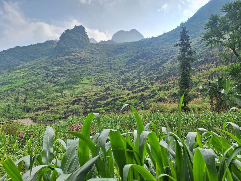 Phòng Giường Đôi Nhìn Ra Núi