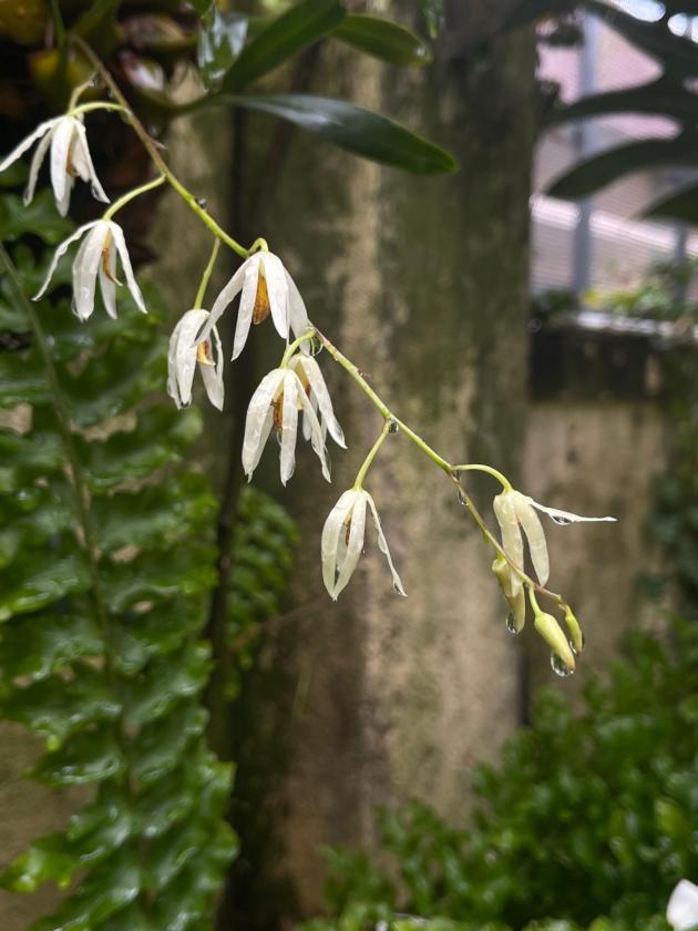 Căn Hộ 1 Phòng Ngủ Căn Hộ 1 Phòng Ngủ