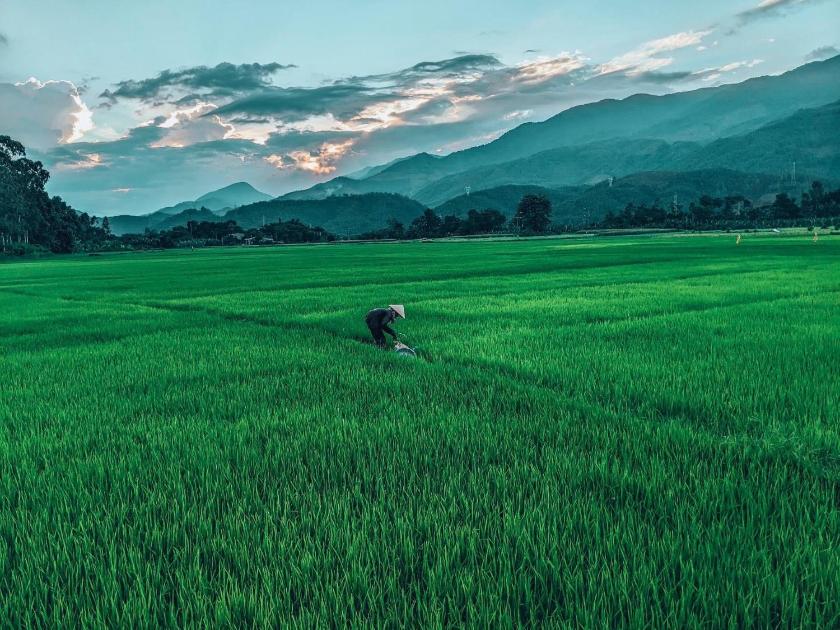 Phòng Giường Đôi Nhìn Ra Vườn Phòng Giường Đôi Nhìn Ra Vườn