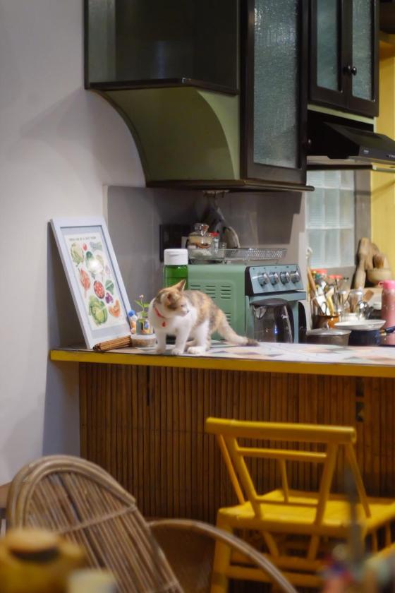 Phòng Giường Đôi Có Phòng Tắm Riêng