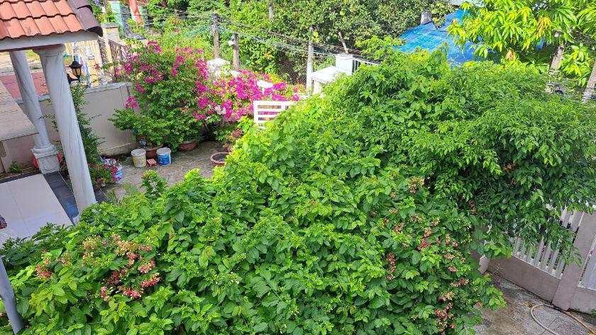 Phòng Deluxe Giường Đôi Có Ban Công Phòng Deluxe Giường Đôi Có Ban Công