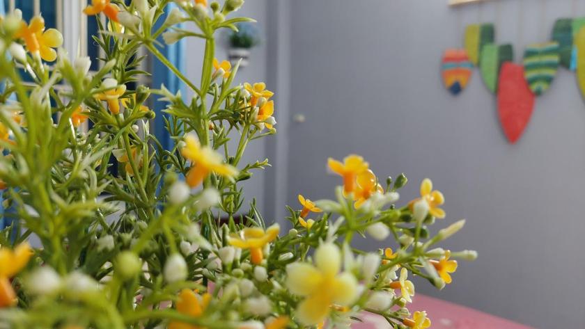 Phòng Tiêu Chuẩn Có Giường Cỡ King Phòng Tiêu Chuẩn Có Giường Cỡ King