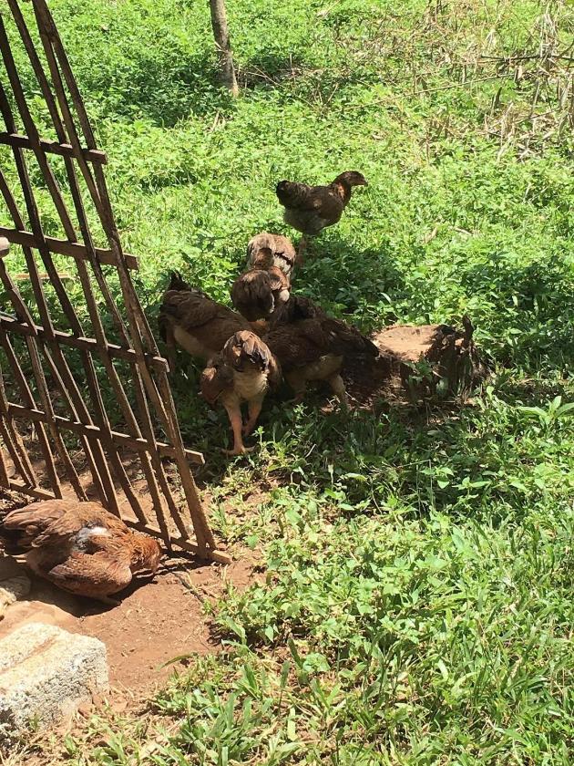 Căn Hộ 2 Phòng Ngủ