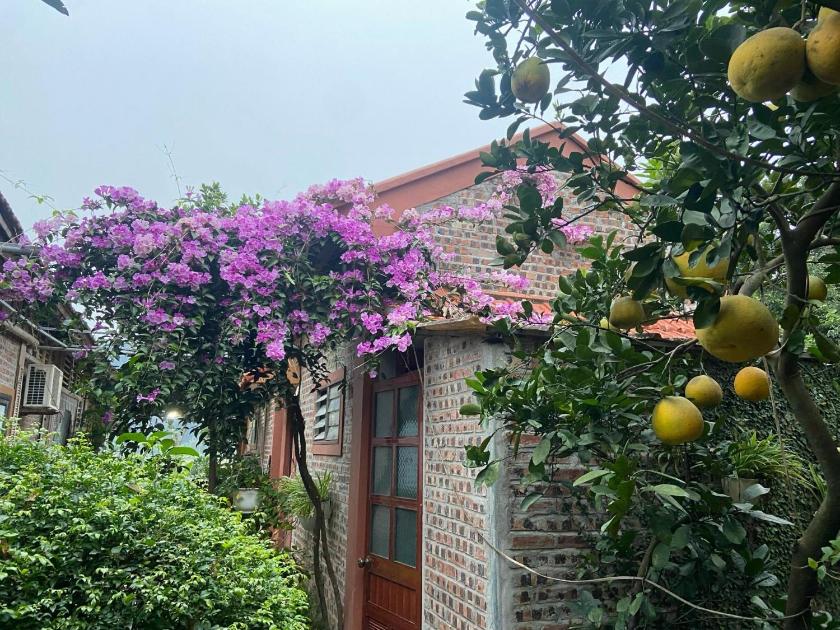 Căn hộ Tiêu chuẩn Căn hộ Tiêu chuẩn