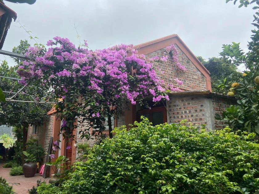 Căn hộ Tiêu chuẩn Căn hộ Tiêu chuẩn