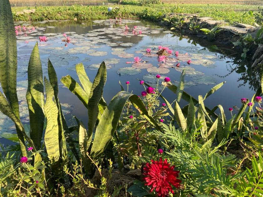 Căn hộ Tiêu chuẩn Căn hộ Tiêu chuẩn