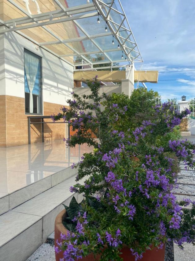 Ngôi Nhà 2 Phòng Ngủ