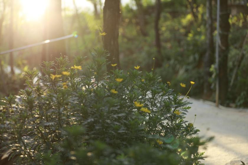 Căn Hộ 1 Phòng Ngủ