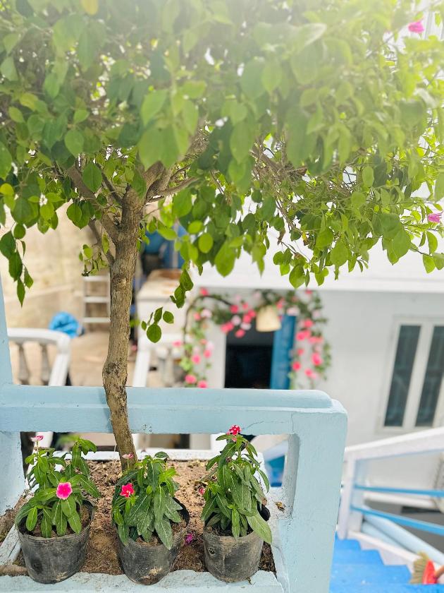 Ngôi Nhà 5 Phòng Ngủ