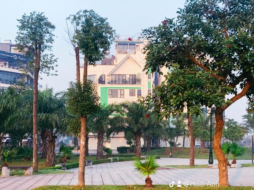 Studio Nhìn Ra Vườn