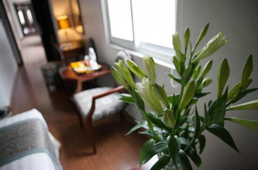 Phòng Deluxe Giường Đôi/2 Giường Đơn