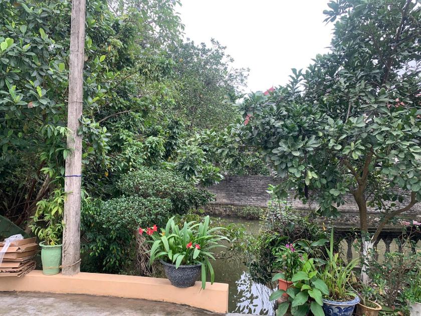 Phòng Có Giường Cỡ King Nhìn Ra Vườn Phòng Có Giường Cỡ King Nhìn Ra Vườn