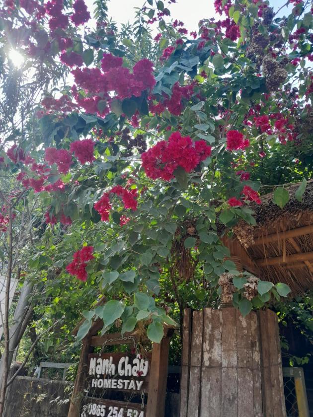 Phòng Ngủ Tập Thể 10 Giường Cho Cả Nam Và Nữ