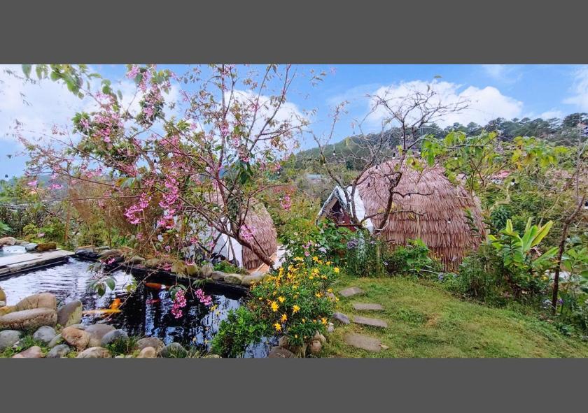 Phòng Giường Đôi Nhìn Ra Núi