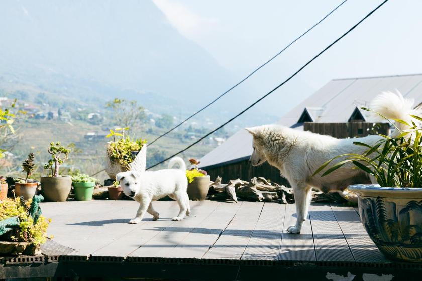 Bungalow Gia Đình Bungalow Gia Đình