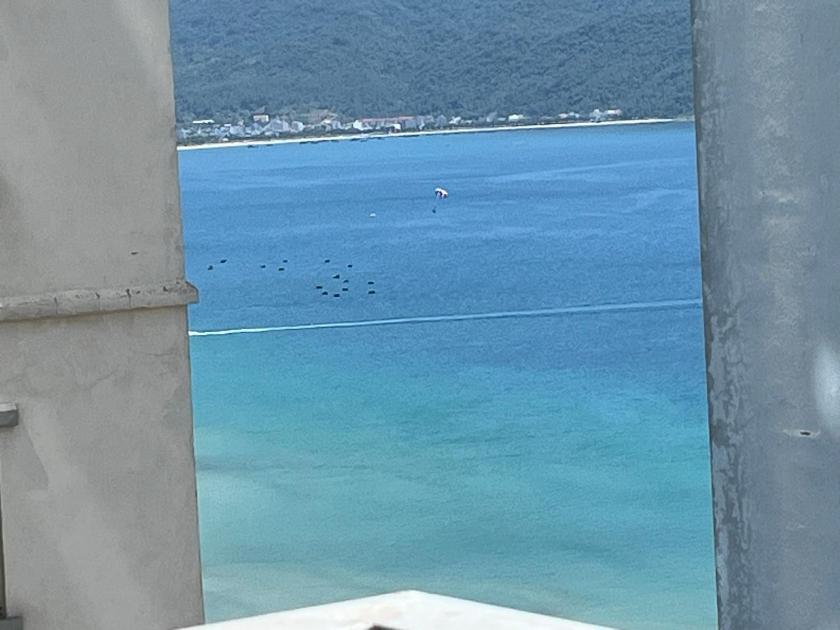 Căn Hộ 2 Phòng Ngủ Căn Hộ 2 Phòng Ngủ