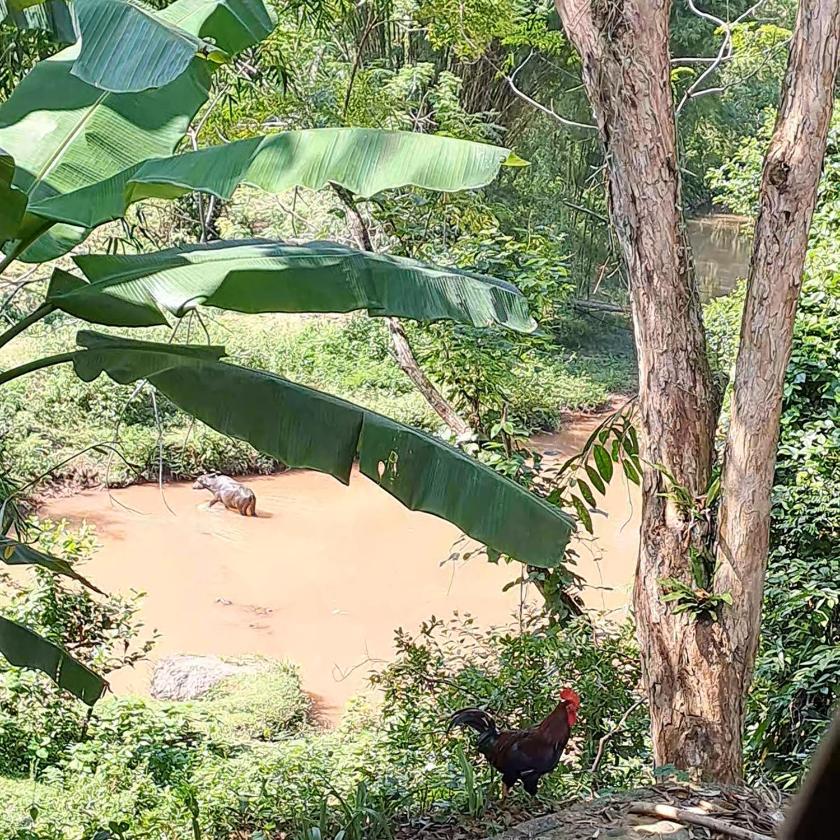 Phòng cho 3 người có Ban Công