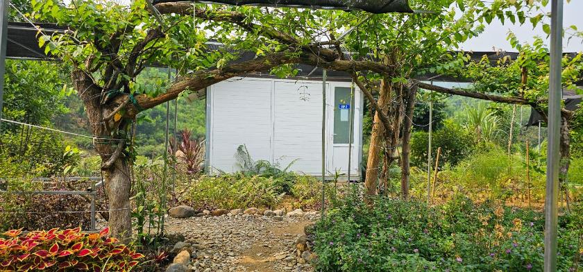 Bungalow - Nhìn Ra Mặt Nước 