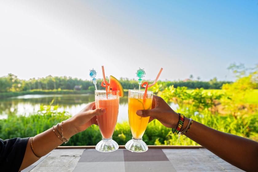 Phòng Giường Đôi Nhìn Ra Vườn Phòng Giường Đôi Nhìn Ra Vườn