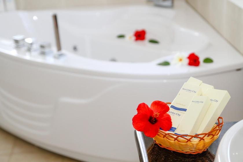 Biệt thự 3 phòng ngủ   Biệt thự 3 phòng ngủ