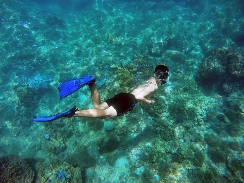 Biệt Thự Nhìn Ra Vườn Biệt Thự Nhìn Ra Vườn