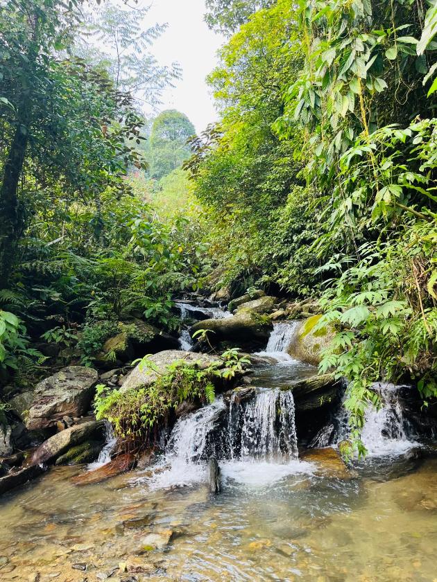 Phòng Deluxe Giường Đôi Phòng Deluxe Giường Đôi